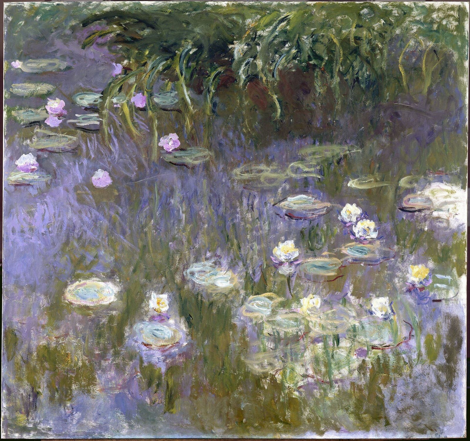 Les Nymphéas